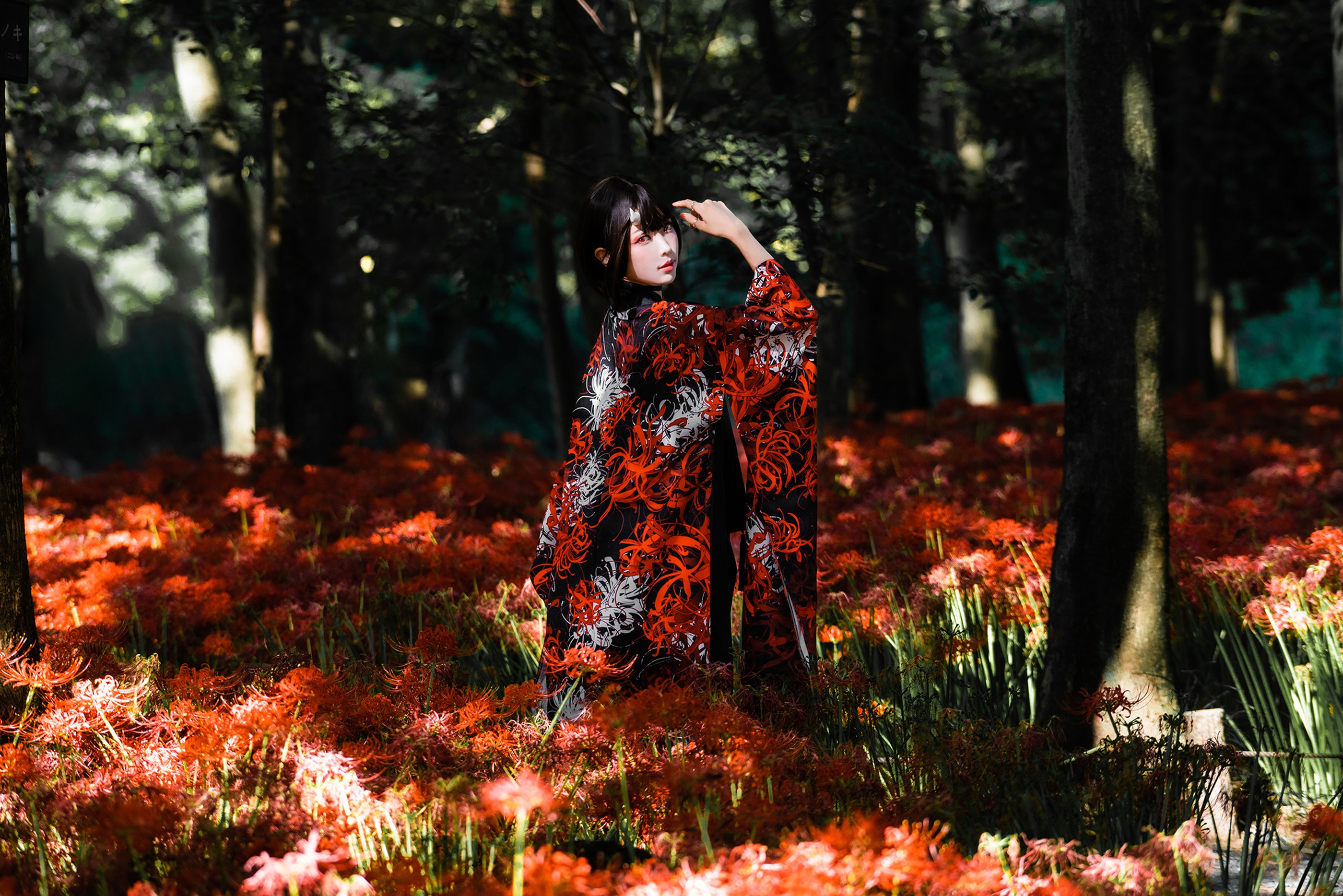 图片[1]-ElyEE子 – NO.155 C-Red Higanbana 殷紅彼岸 [36P]-XikXak